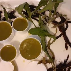 Fekete nadálytő kenőcs